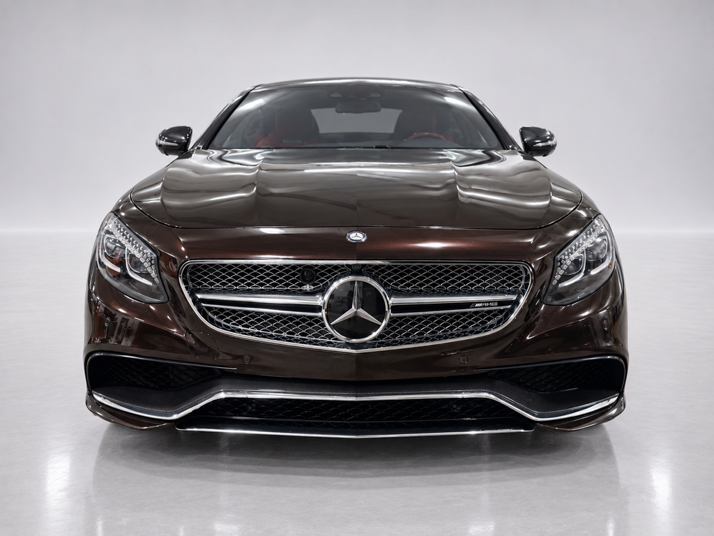 2016 Mercedes-Benz S-Class S 65 AMG®