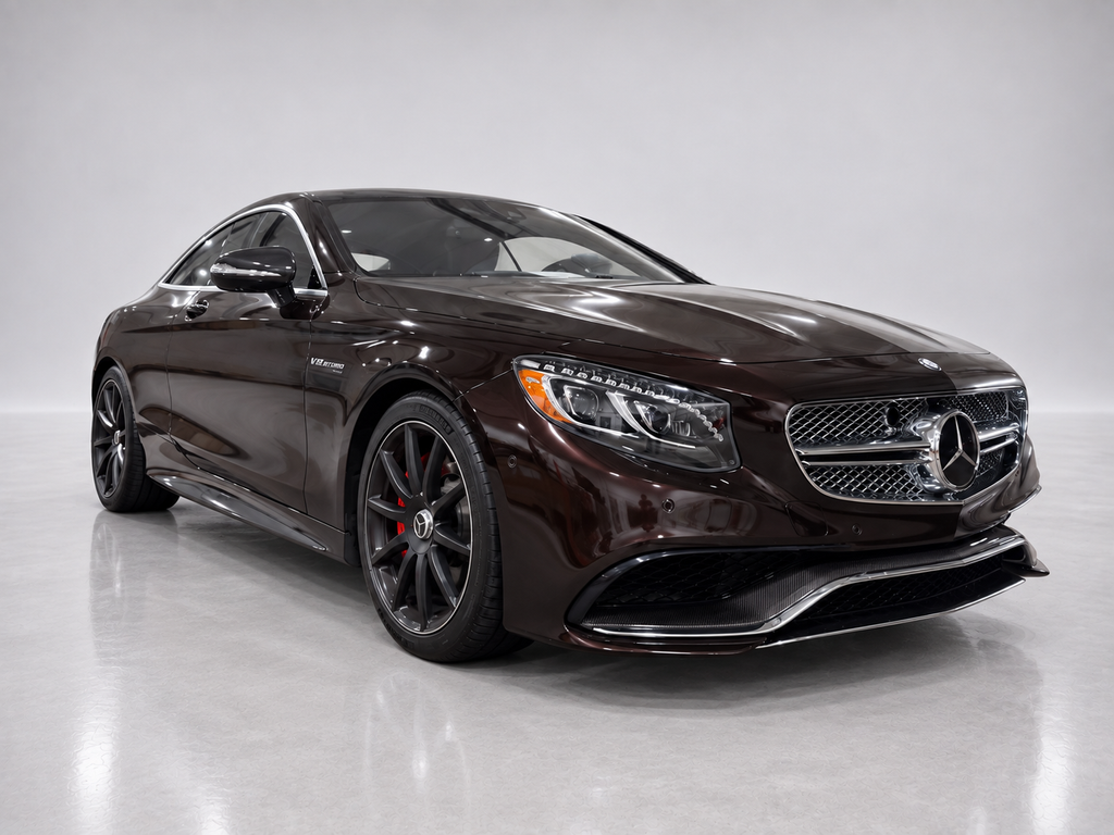 2016 Mercedes-Benz S-Class S 65 AMG®